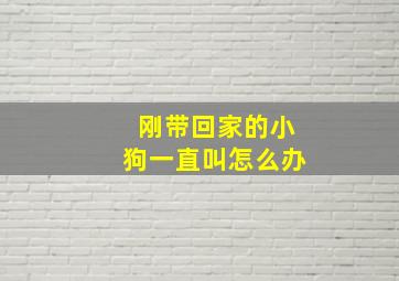 刚带回家的小狗一直叫怎么办