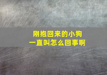 刚抱回来的小狗一直叫怎么回事啊