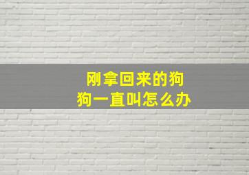 刚拿回来的狗狗一直叫怎么办