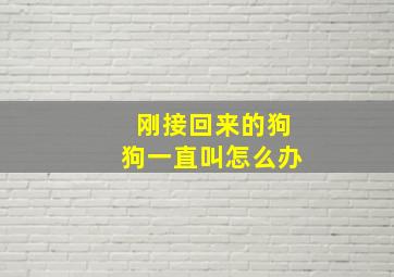 刚接回来的狗狗一直叫怎么办