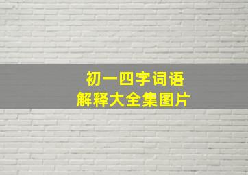 初一四字词语解释大全集图片