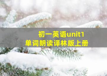 初一英语unit1单词朗读译林版上册