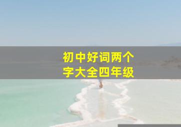 初中好词两个字大全四年级