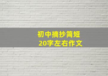 初中摘抄简短20字左右作文