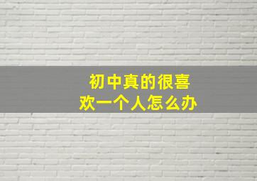 初中真的很喜欢一个人怎么办