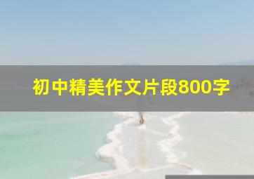 初中精美作文片段800字