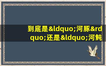 到底是“河豚”还是“河鲀”