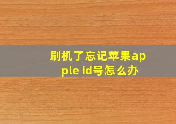 刷机了忘记苹果apple id号怎么办