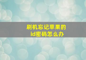 刷机忘记苹果的id密码怎么办