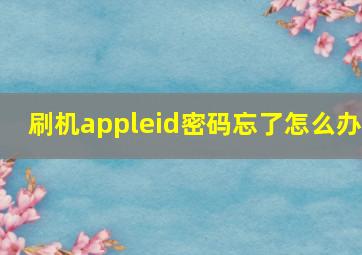 刷机appleid密码忘了怎么办