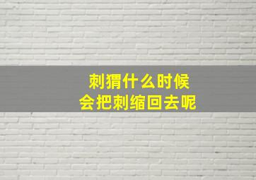 刺猬什么时候会把刺缩回去呢