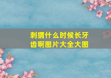 刺猬什么时候长牙齿啊图片大全大图