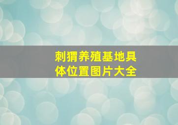 刺猬养殖基地具体位置图片大全