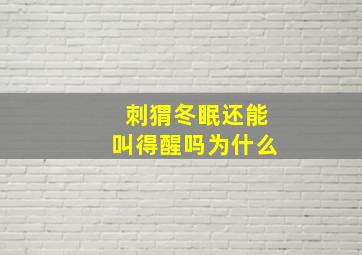 刺猬冬眠还能叫得醒吗为什么