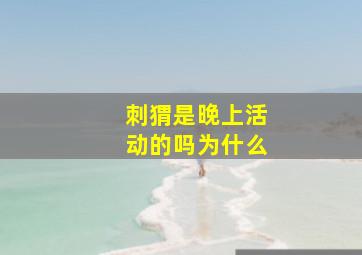 刺猬是晚上活动的吗为什么