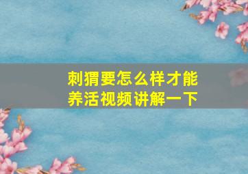 刺猬要怎么样才能养活视频讲解一下