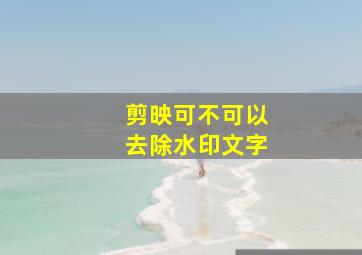 剪映可不可以去除水印文字