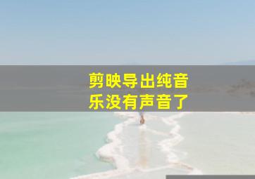 剪映导出纯音乐没有声音了