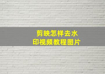 剪映怎样去水印视频教程图片