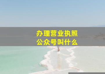 办理营业执照公众号叫什么