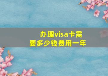 办理visa卡需要多少钱费用一年