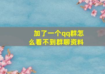 加了一个qq群怎么看不到群聊资料