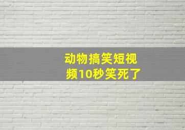 动物搞笑短视频10秒笑死了