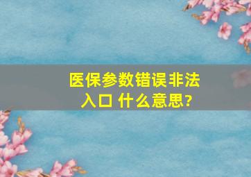 医保参数错误非法入口 什么意思?