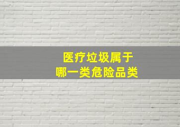 医疗垃圾属于哪一类危险品类