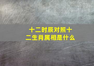 十二时辰对照十二生肖属相是什么