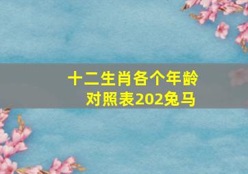 十二生肖各个年龄对照表202兔马