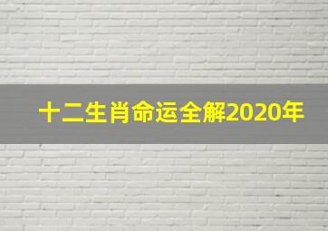 十二生肖命运全解2020年