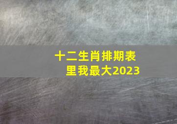 十二生肖排期表里我最大2023