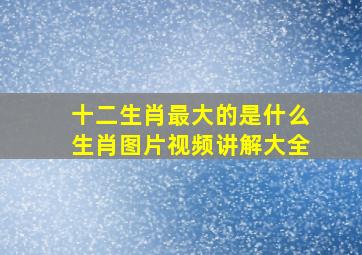 十二生肖最大的是什么生肖图片视频讲解大全