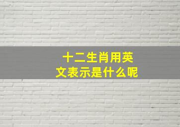 十二生肖用英文表示是什么呢