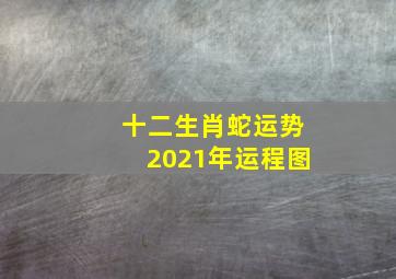 十二生肖蛇运势2021年运程图