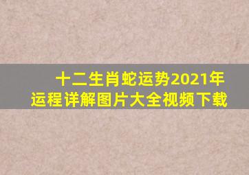 十二生肖蛇运势2021年运程详解图片大全视频下载