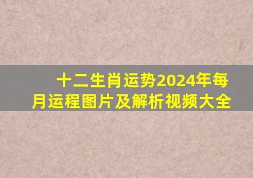 十二生肖运势2024年每月运程图片及解析视频大全