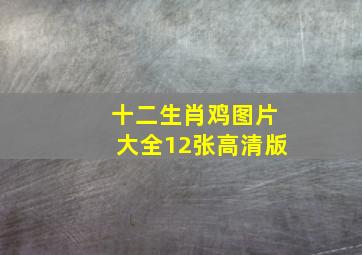 十二生肖鸡图片大全12张高清版