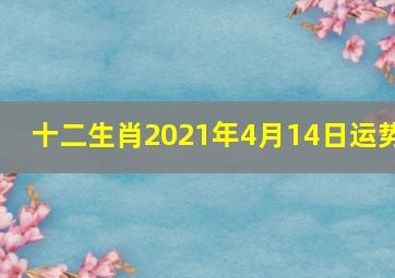 十二生肖2021年4月14日运势