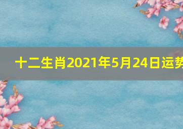 十二生肖2021年5月24日运势