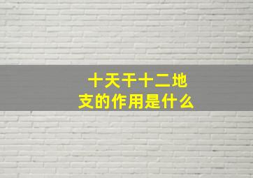 十天干十二地支的作用是什么