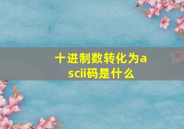 十进制数转化为ascii码是什么