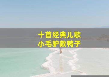 十首经典儿歌小毛驴数鸭子