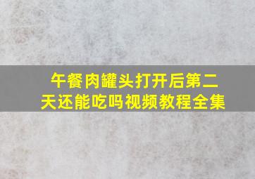 午餐肉罐头打开后第二天还能吃吗视频教程全集