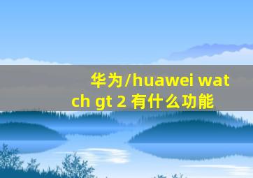 华为/huawei watch gt 2 有什么功能