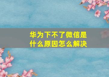 华为下不了微信是什么原因怎么解决