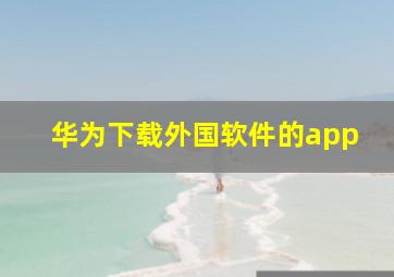 华为下载外国软件的app