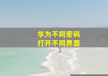 华为不同密码打开不同界面