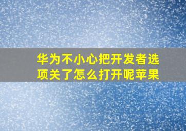 华为不小心把开发者选项关了怎么打开呢苹果